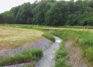 Landschaftspflegerische Ausführungsplanung im Zuge des Ausbaus der B 27 in Göttingen