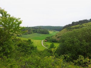 Landschaftspflegerischer Begleitplan und Artenschutzrechtliche Prüfung zum Neubau der B83n als Ortsumgehung im Raum Bad Karlshafen