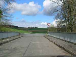 Landschaftspflegerischer Begleitplan und Artenschutzrechtliche Prüfung zum Neubau der B83n als Ortsumgehung im Raum Bad Karlshafen