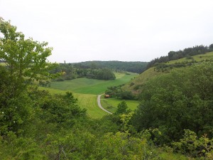 Landschaftspflegerischer Begleitplan und Artenschutzrechtliche Prüfung zum Neubau der B83n als Ortsumgehung im Raum Bad Karlshafen