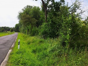 Landschaftspflegerischer Begleitplan und Artenschutzrechtliche Prüfung zum Ausbau der K 23 mit Anlage eines Geh- und Radweges