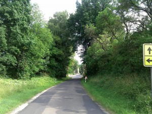 Landschaftspflegerischer Begleitplan und Artenschutzrechtliche Prüfung zum Ausbau der K 23 mit Anlage eines Geh- und Radweges