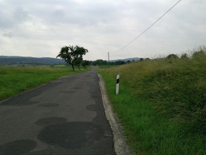 Landschaftspflegerischer Begleitplan und Artenschutzrechtliche Prüfung zum Ausbau der K 23 mit Anlage eines Geh- und Radweges