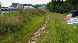 Landschaftspflegerische Ausführungsplanung zum 6-streifigen Ausbau der A 7 am Autobahnkreuz Salzgitter