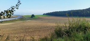 Landschaftspflegerische Ausführungsplanung zum 6-streifigen Ausbau der A 7 am Autobahnkreuz Salzgitter