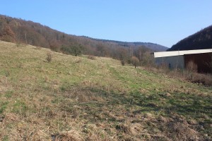 Landschaftspflegerisches Begleitkonzept und Eingriffsbilanzierung zum B-Plan Nr. „048“
