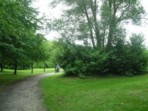 Pflege- und Entwicklungskonzept - Teich im Wurzelbruchpark, Gemeinde Bovenden