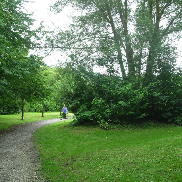 Pflege und Entwicklungskonzept Teich im Wurzelbruchpark, Gemeinde