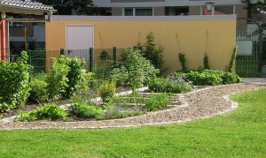 Kindertagesstätte St. Petri - Freianlage