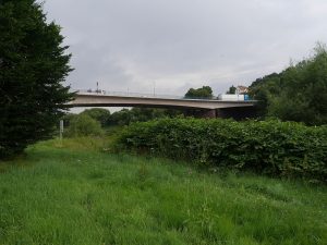 Landschaftspflegerische Begleitplanung, Weserbrücke B3
