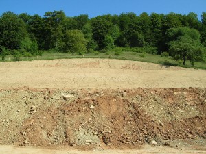 Landschaftspflegerisches Begleitkonzept und Eingriffsbilanzierung zum B-Plan Nr. „048“