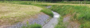 Landschaftspflegerische Ausführungsplanung im Zuge des Ausbaus der B 27 in Göttingen