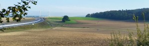 Landschaftspflegerische Ausführungsplanung zum 6-streifigen Ausbau der A 7 am Autobahnkreuz Salzgitter