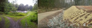 Umweltbericht und Grünordnungsplanung zur B-Planänderung „Parken am Klinikum“